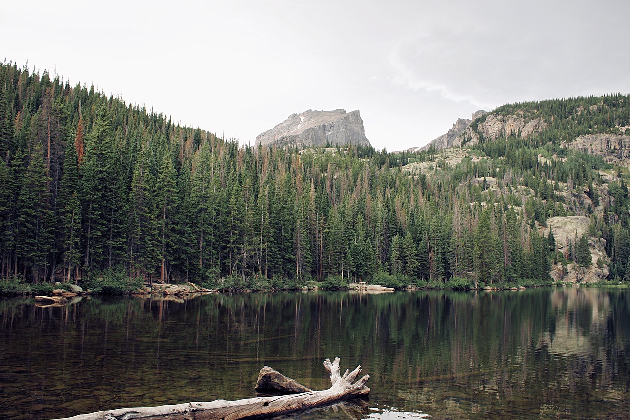 The Best Hiking Trails in Rocky Mountain National Park